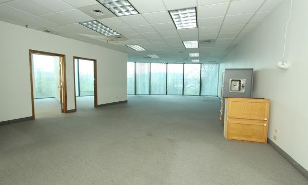 office condo, auction, for sale, Oak Brook, I-88, Tri-State tollway, East/West Corridor, office