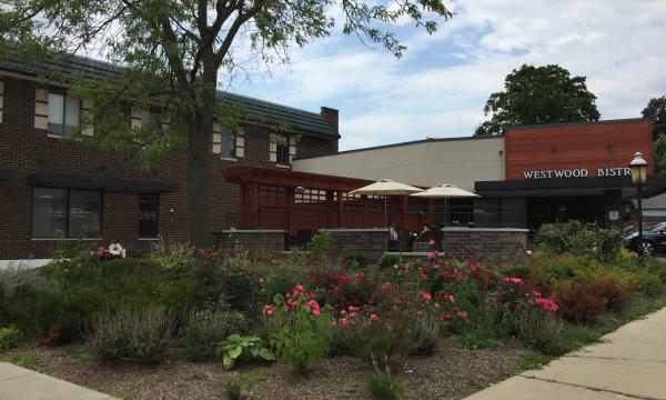 office, for rent, for lease, medical office, Lake Forest, Western Ave.