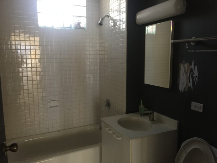 Commercial Condo on North Ave. in Bucktown/Wicker Park