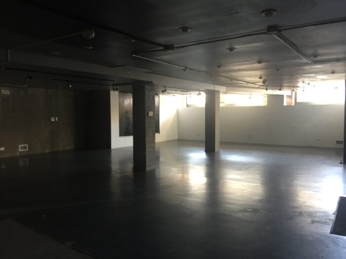 Commercial Condo on North Ave. in Bucktown/Wicker Park