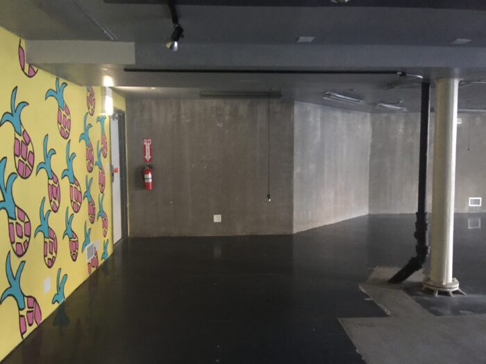 Commercial Condo on North Ave. in Bucktown/Wicker Park