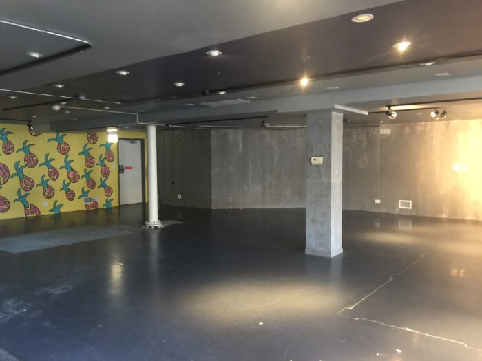 Commercial Condo on North Ave. in Bucktown/Wicker Park